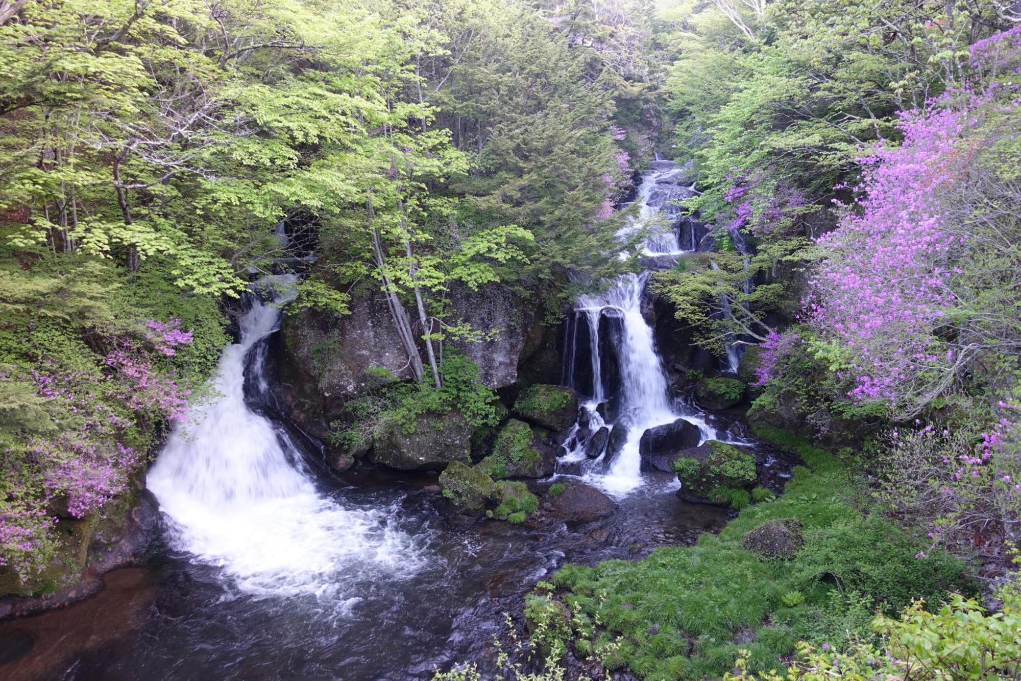Hatago Nagomi Nikko Esterno foto